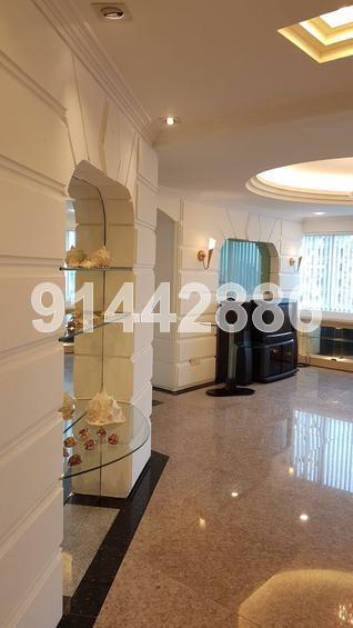 Lucky Plaza (D9), Apartment #146515442
